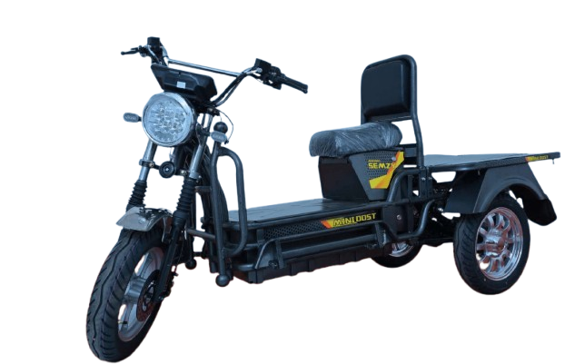 Mini Dost 3 Wheeler